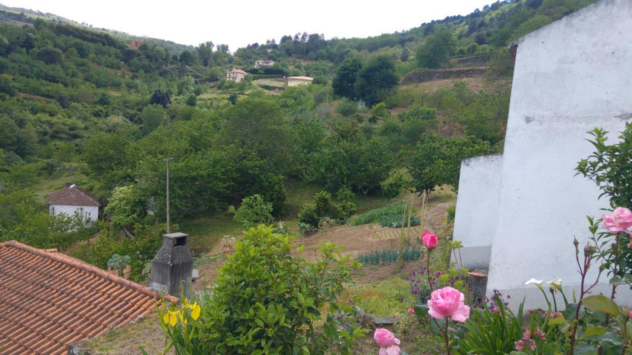 Affittacamere Casa Da Eira - Castanheiras Resende Esterno foto